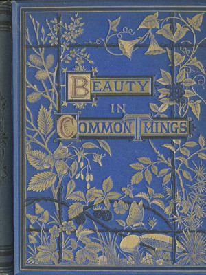 Beauty For Commerce: Beauty in Common Things