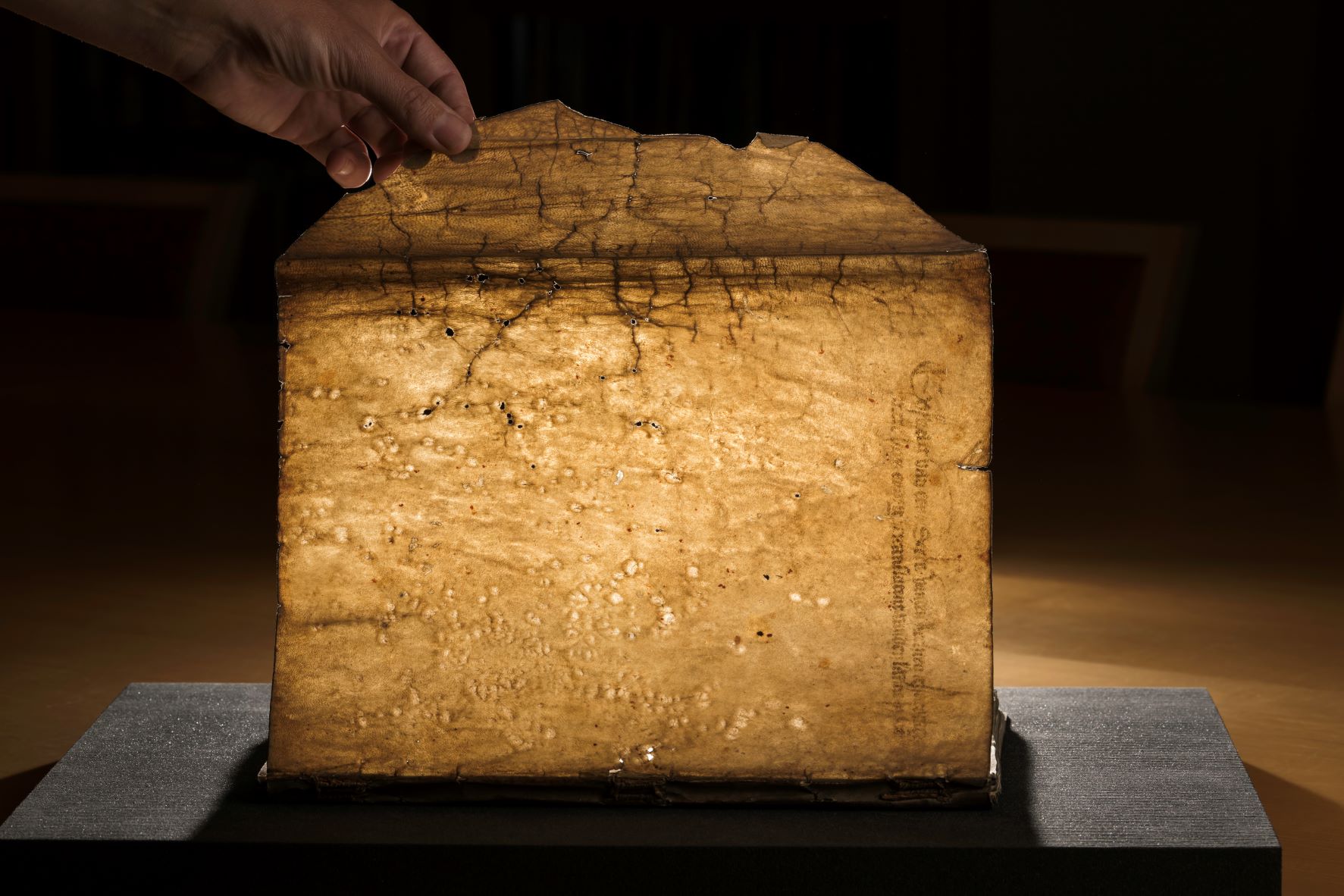 Commemorative codex | River Campus Libraries