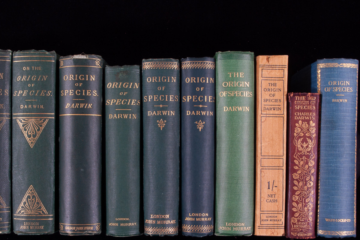 spines of editions of Darwin's Origin of the Species