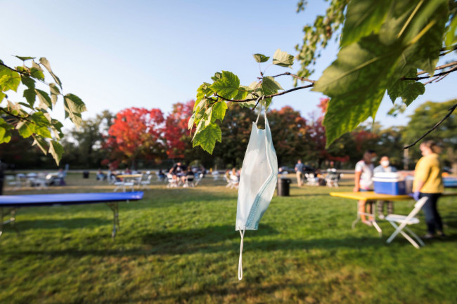A face mask hanging from a park tree branch with people and tables in the background