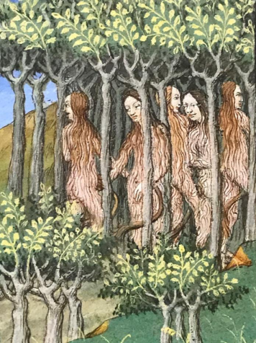 Women with tails and long hair that covers their bodies stand in a forest