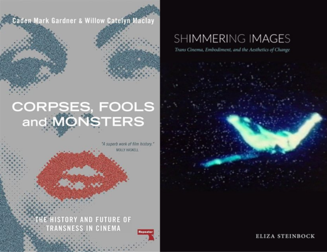 Two book covers next to each one. On the left is the cover for Corpses, Fools and Monsters. On the left is the cover of Shimmering Images.