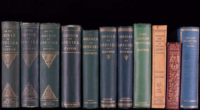 spines of editions of Darwin's Origin of the Species