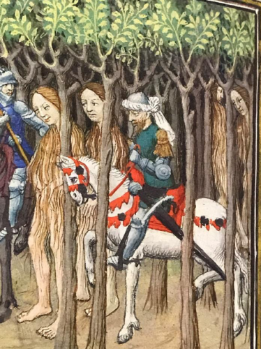 Women as tall as men on horseback stand in a forest. Their hang reaches their feet. Two men are horseback are next to them.