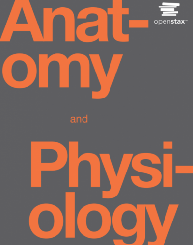 Cover of Elaine Marieb and Katja Hoehn’s textbook Human Anatomy & Physiology