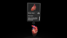 screenshot of the normal heart model. 
