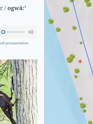Map showing location of woodpecker with picture of bird