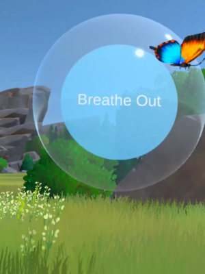 screenshot of the immersive application Studio X created. 